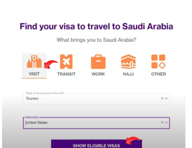 A screenshot of website of Saudi Arabia Official Visa Portal